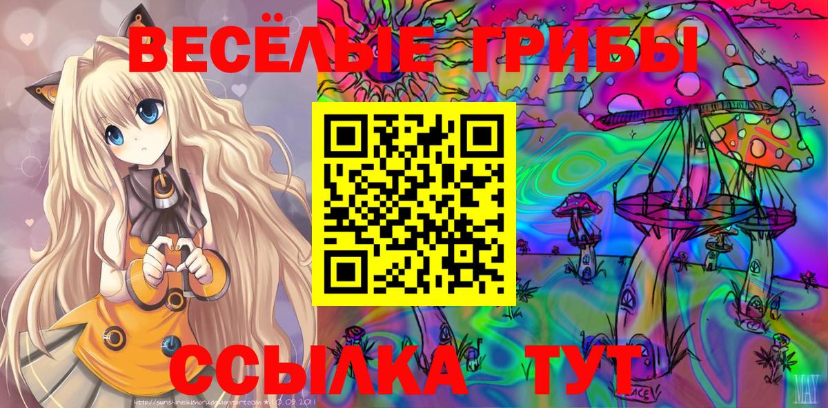 Псилоцибиновые грибы прущие грибы  Вход с VPN  Петропавловск-Камчатский 