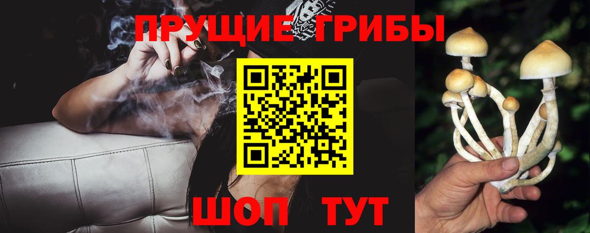 Псилоцибиновые грибы GOLDEN TEACHER Петропавловск-Камчатский